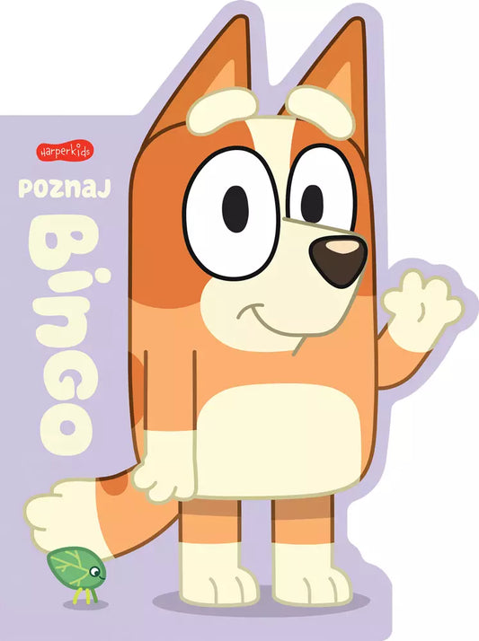 Bluey. Poznaj Bingo. Książeczki kartonowe